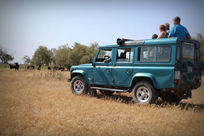 Aigues Mortes: 4x4 photo safari in the Camargue - Key Points