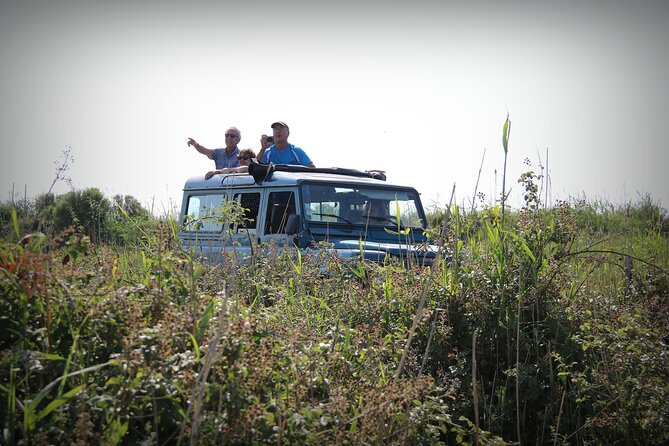 Aigues Mortes: 4x4 photo safari in the Camargue - The Authentic Charm of the Camargue in a Compact Package