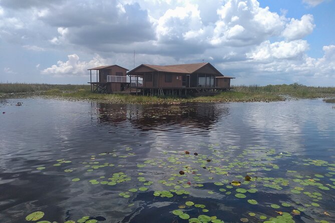 Air Boat Tour of Palm Beach in The Swamp Monster - The Wildlife You Can Expect to Encounter