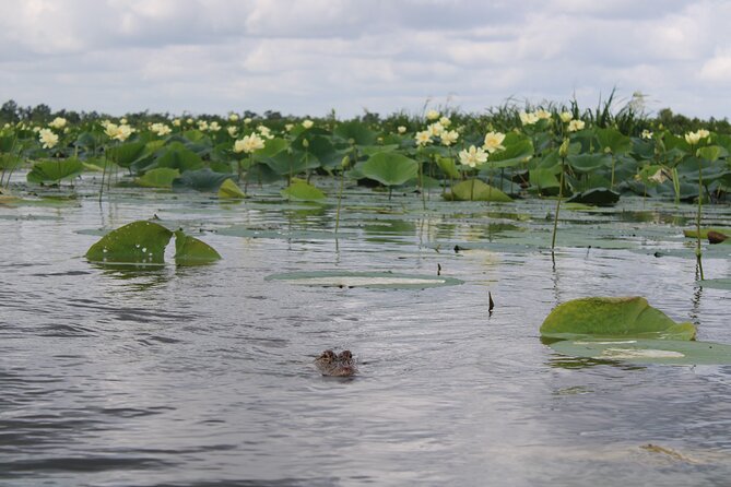 Airboat Swamp Tour with Transportation from New Orleans - Guides and Personalities on the Airboat