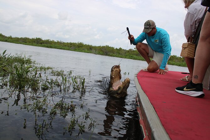 Airboat Swamp Tour with Transportation from New Orleans - Wildlife Sightings Beyond Alligators