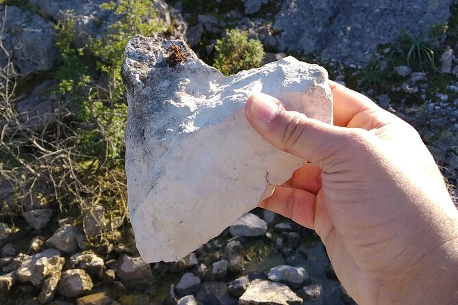 Aire & Candeeiros: Nature, Fossils and Forgotten Traditions - Key Points