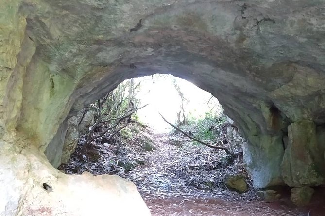 Aire & Candeeiros: Nature, Fossils and Forgotten Traditions - Spring Blooms and Aromatic Herbs in the Wilderness