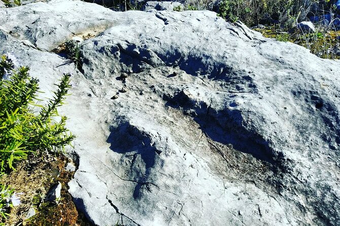 Aire & Candeeiros: Nature, Fossils and Forgotten Traditions - Personalized Service and Expert Guidance