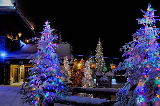 Airport & City Transfers in Rovaniemi - Timing, Pacing, and Accessibility