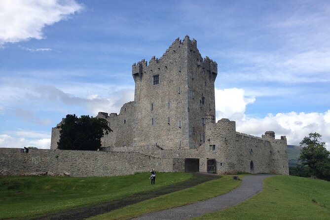 Airport collection and drop off transfers transport service. - The Vehicles and Comfort Features