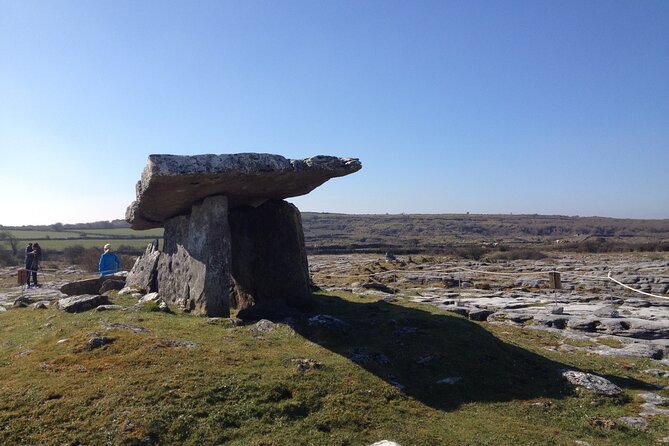 Airport collection and drop off transfers transport service. - Booking Flexibility and Cancellation Policy