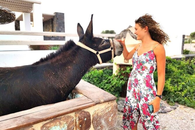 Airport, Port and Hotel Private Transfer in Santorini - Pricing and Cancellation Policies: Cost-Effective and Flexible