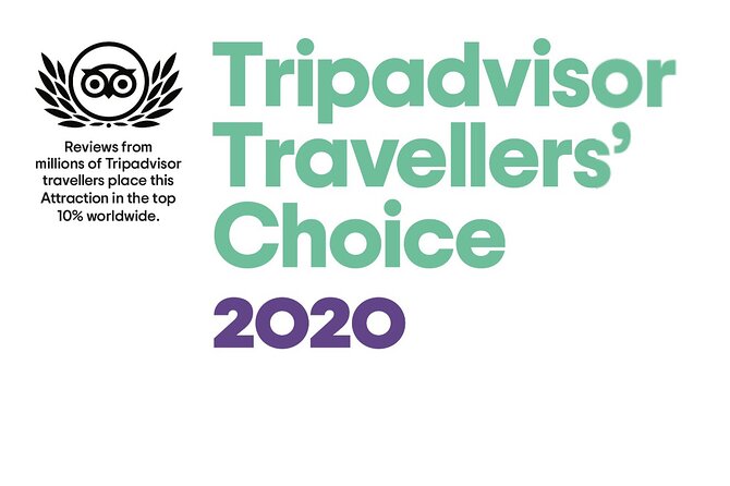 Airport Transfer - Flexible Booking and Cancellation Policies