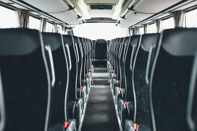 Airport Transfer in Iceland from Keflavik Airport to Reykjavik City one way - Inclusion and Limitations of the Transfer Service