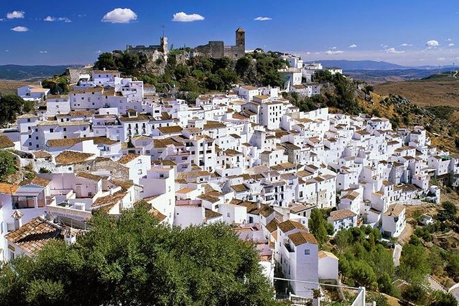 Airport Transfer: Malaga Airport AGP to Malaga by Business Car - Why This Transfer Stands Out for Malaga Visitors