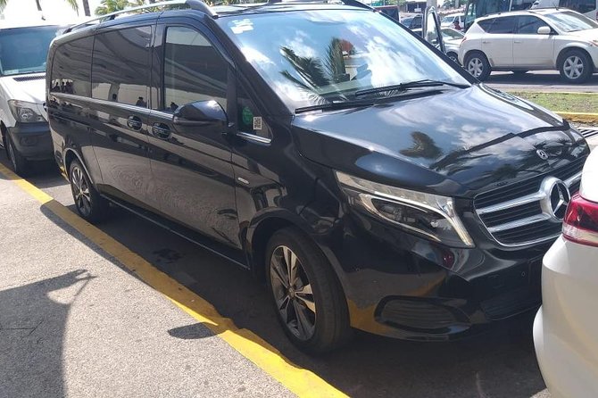 Airport Transfer Puerto Vallarta - Who Would Most Benefit from This Service?