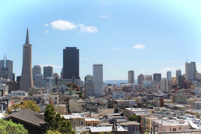 Airport Transfer: San Francisco to Airport SFO by Luxury SUV - Who Should Consider This Luxury SUV Transfer?