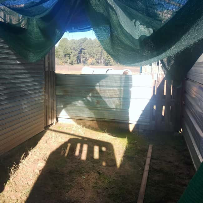 Airsoft, like paintball, but more realistic, immersive games. - Exciting, Realistic Airsoft in Cuenca: A Unique Group Adventure