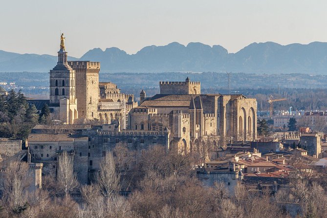 Aix en Provence and Avignon city of Popes Private Tour - Pacing and Flexibility of the Tour
