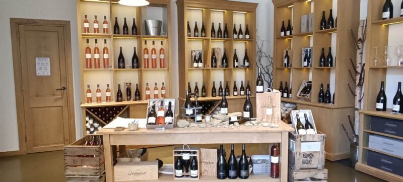 Aix-en-Provence: Avignon Tour & Chateauneuf-du-Pape Tasting - Exploring Avignon’s Historic Heart