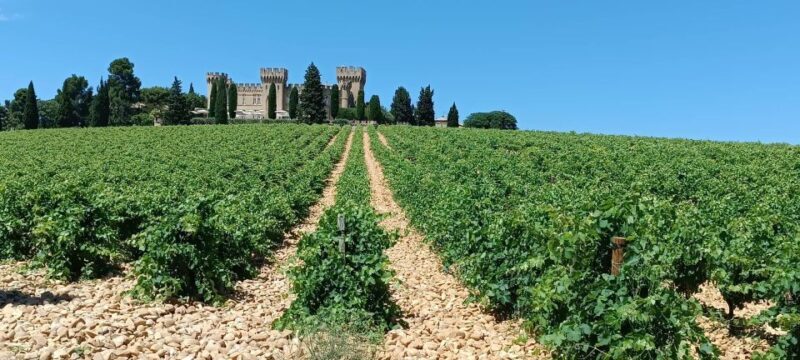 Aix-en-Provence: Avignon Tour & Chateauneuf-du-Pape Tasting - Wine Tasting at Châteauneuf-du-Pape