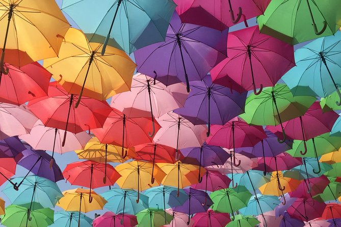 Aix-en-Provence, Cassis, Marseille - Flexibility and Cancellation Policy