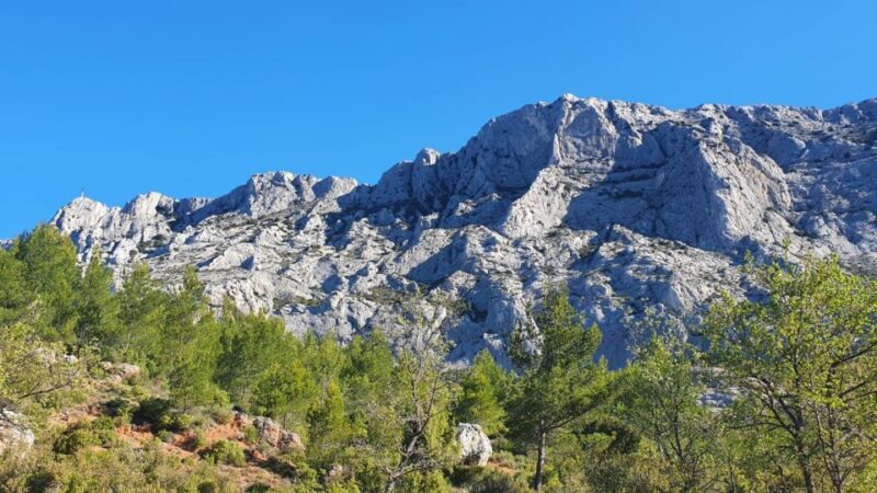 Aix-en-Provence : Climbing class on the Sainte-Victoire - The Natural Environment: Flora, Fauna, and Breathtaking Views