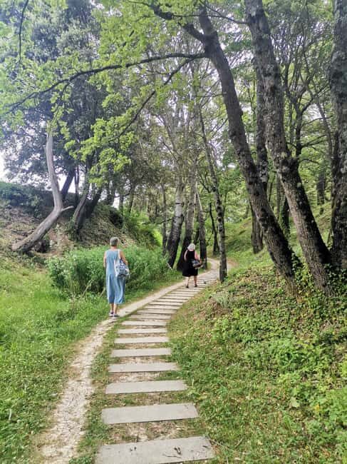 Aix en Provence: Discovery of Prestigeous Wineries and Art - Comprehensive Vineyard and Art Experiences