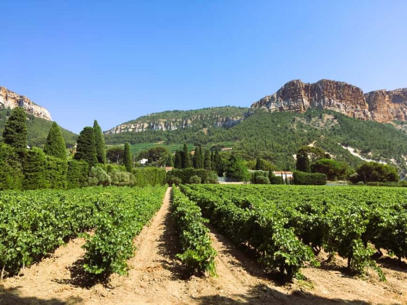 Aix-en-Provence: Half Day Wine Tour in Bandol and Cassis - Key Points