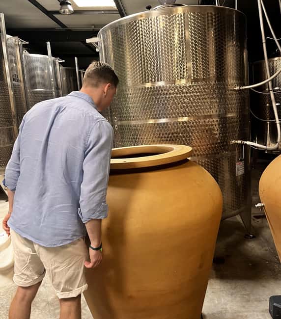 Aix-en-Provence: Half Day Wine Tour in Bandol and Cassis - Practical Tips for Participants