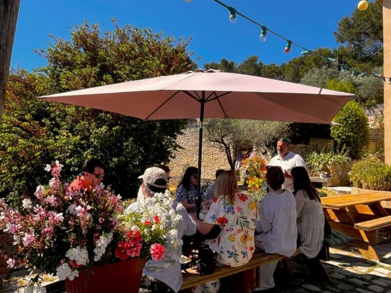 Aix-en-Provence: Half Day Wine Tour in Coteaux d'Aix - Key Points