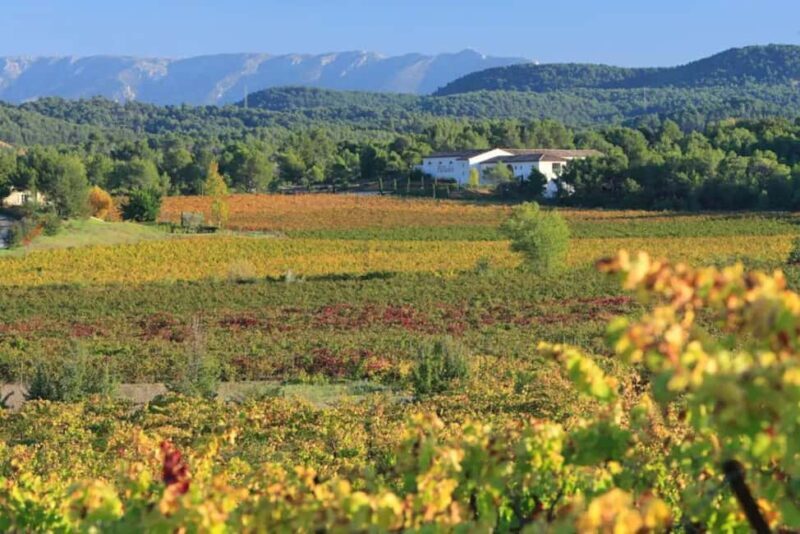 Aix-en-Provence: Half Day Wine Tour in Coteaux d'Aix - Exploring Organic Wineries in the Provence Countryside