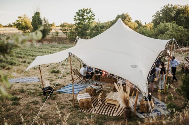 Aix-en-Provence: Lavender Fields Visit - Learn About Lavender and Agro-tourism at Terre Ugo