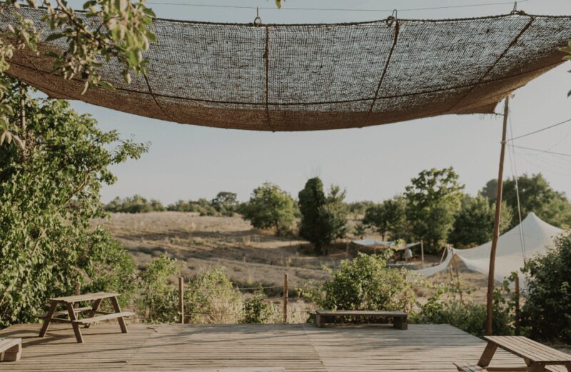 Aix-en-Provence: Lavender Fields Visit - Experience Quality and Accessibility