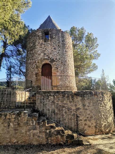 Aix-en-Provence: Medieval Village Art and Vineyards - Traditional Provençal Lunch and Optional Tastings