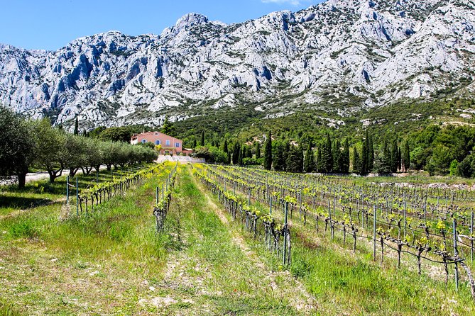 Aix-en-Provence - Mt Sainte Victoire wines in search of Cézanne - The Itinerary: From Vineyards to Village