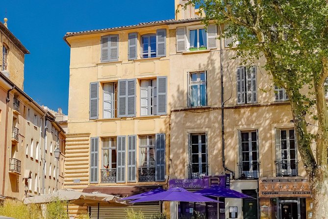 Aix-en-Provence: Private Walking Tour - The Guide’s Expertise and Personalized Approach