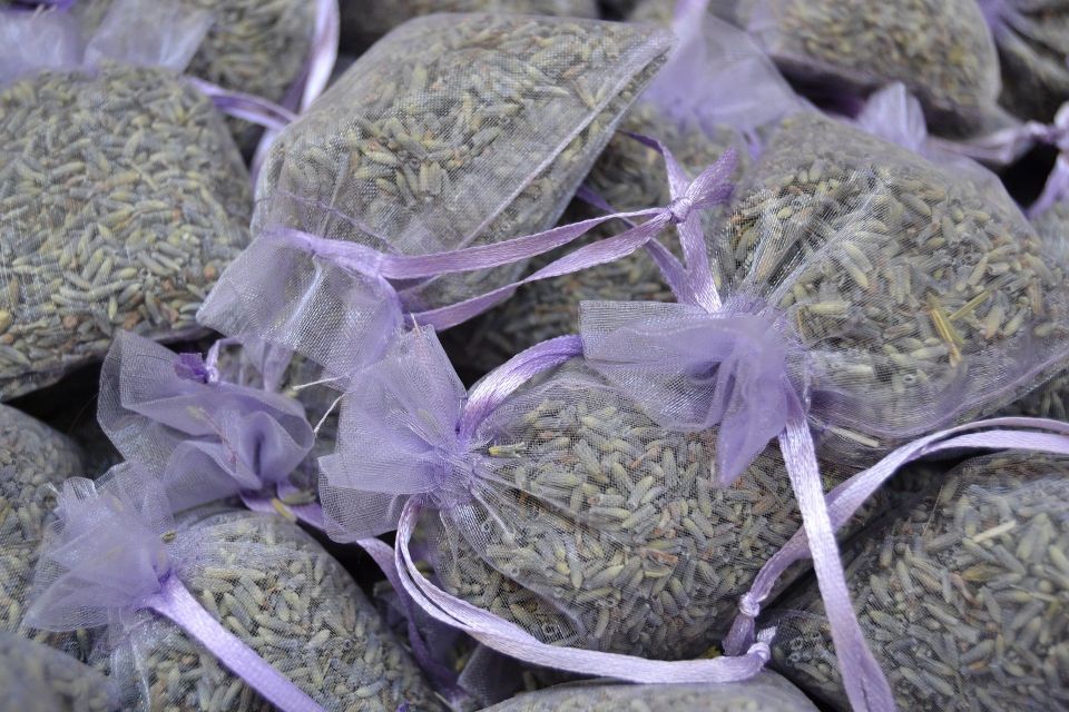 Aix-en-Provence: Private Walking Tour - Comparing Similar Experiences