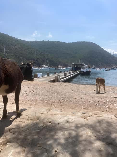 Ajaccio: Excursion, Sailing Scandola Nature Reserve - How This Tour Differs from Others in Corsica