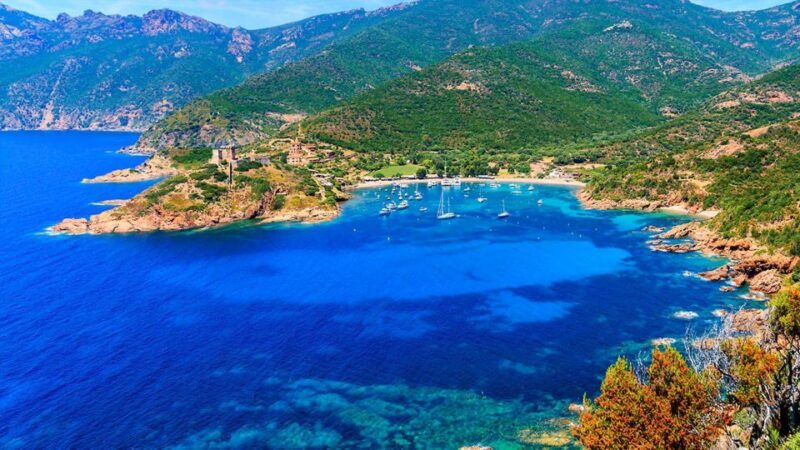 Ajaccio: Guided Scandola Nature Reserve Boat Tour - Who Will Enjoy This Tour Most?