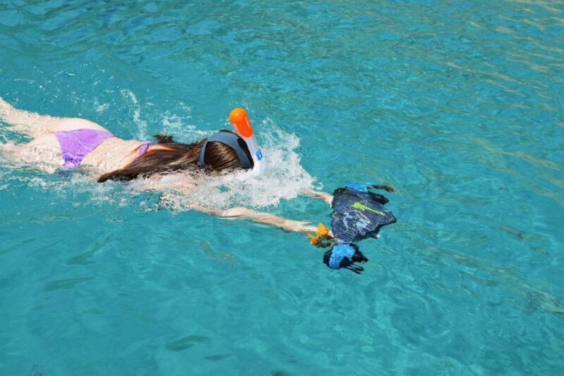 Ajaccio: Scandola - Girolata - Piana - Capo Rosso Tour - Beachside Lunch at Girolata in Its Wild Setting