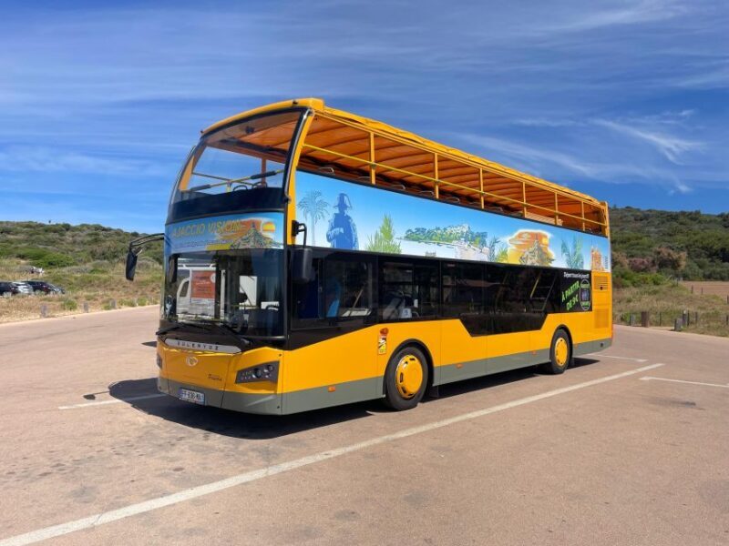 Ajaccio Sightseeing Tour - The Value of the Ajaccio Sightseeing Tour