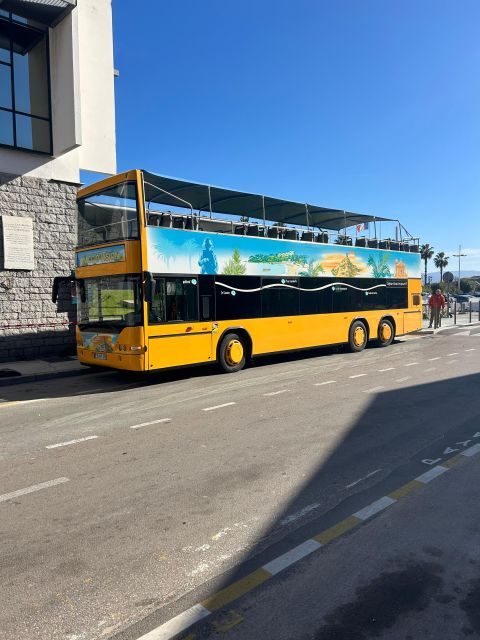 Ajaccio Sightseeing Tour - Final Thoughts on the Ajaccio Sightseeing Tour