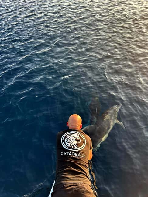 Ajaccio: Sunset at the Sanguinaires Islands - The Unique Character of the Sanguinaires Islands