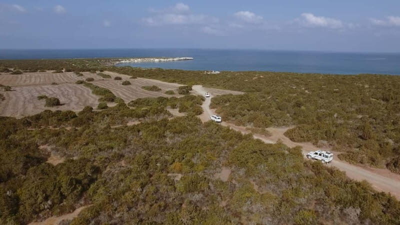 Akamas Jeep Safari Tour from Paphos - Discover the Akamas Jeep Safari from Paphos