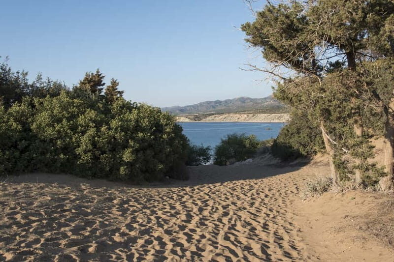 Akamas Jeep Safari Tour from Paphos - A Walk through Avakas Gorge