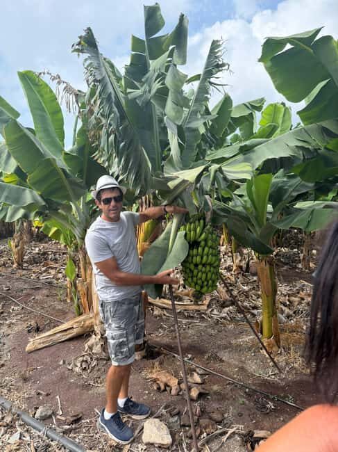 Akamas natural park: White Stone River, Canyon, and Turtle Beach. - Discover the Natural Wonders of Akamas with a Full-Day Excursion