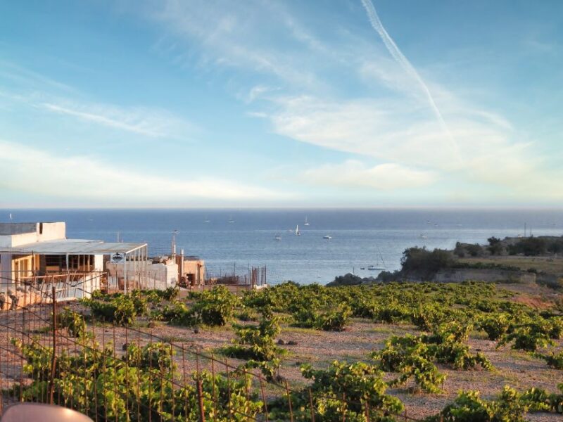 Akrotiri: Guided Horseback Riding Day Trip to a Beach - The Scenic Route to Vlychada Beach