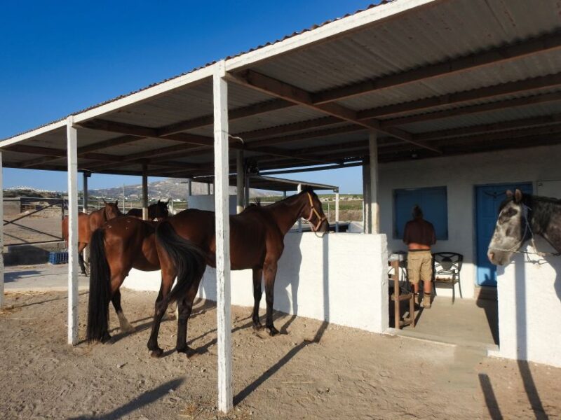 Akrotiri: Guided Horseback Riding Day Trip to a Beach - Optional Hotel Transfers and Practicalities