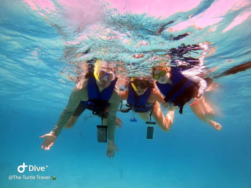 Akumal Beach: Ecologic Turtle Snorkeling Tour & Gopro Photos - Convenient Meeting Point Next to Akumal Beach Entrance