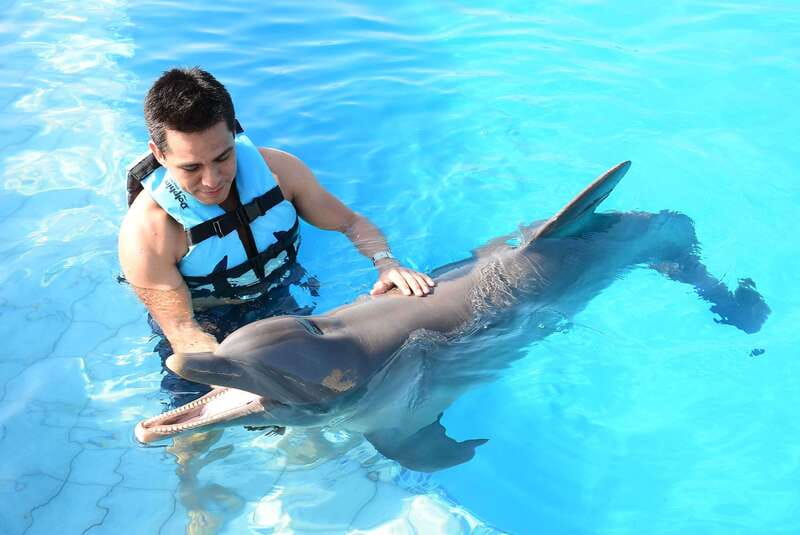 Akumal: Dolphin Encounter - The Price and What It Gets You