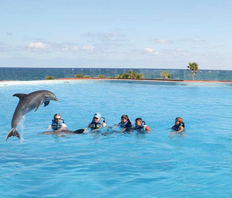 Akumal: Dolphin Encounter - The Experience at the Newest Dolphin Habitat