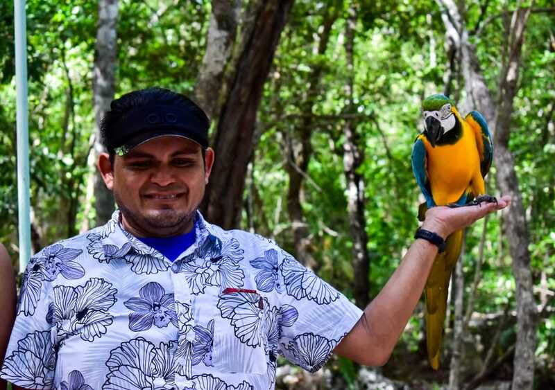 Akumal: Explore the Monkey Sanctuary, ATV Circuit and Cenote - Key Points