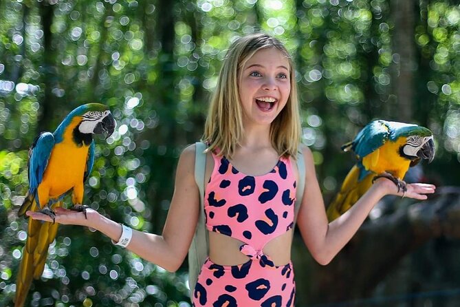 Akumal Monkey Sanctuary - Location and How to Start Your Visit at the Sanctuary